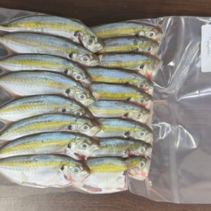IKAN SELAR KUNING
