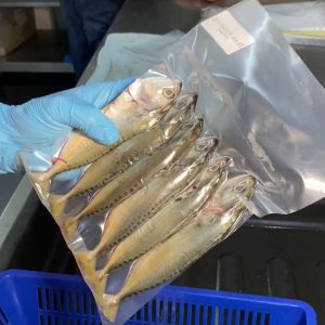 IKAN PELALING 500G (5-6 EKOR)