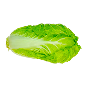 KOBIS PANJANG (SEBIJI)