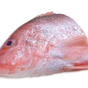 KEPALA IKAN MERAH