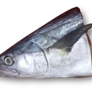 KEPALA IKAN TENGGIRI