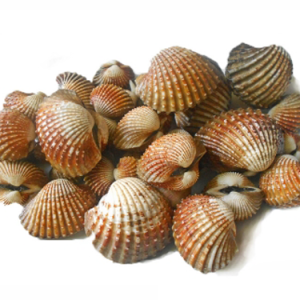 KERANG