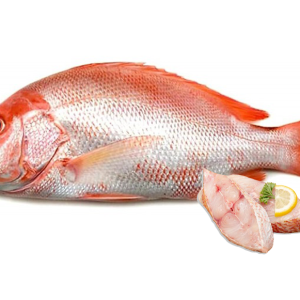 IKAN MERAH